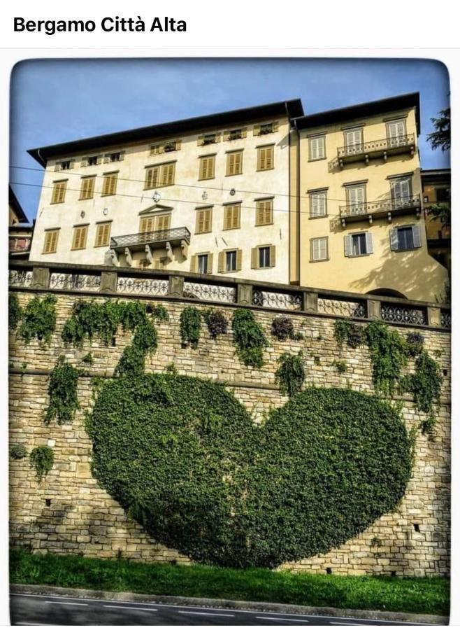 Smart Silver * Bérgamo